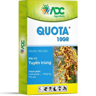 Quota 10GR