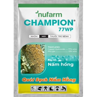 Champion 77WP