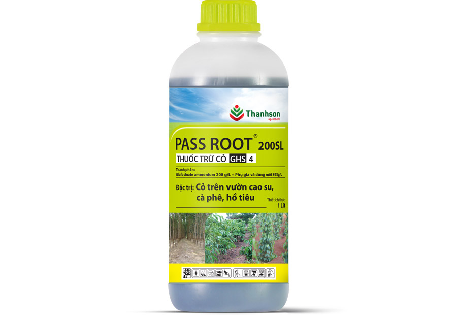 Pass Root 200SL